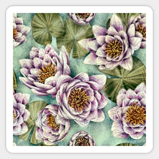 Water lily Sticker